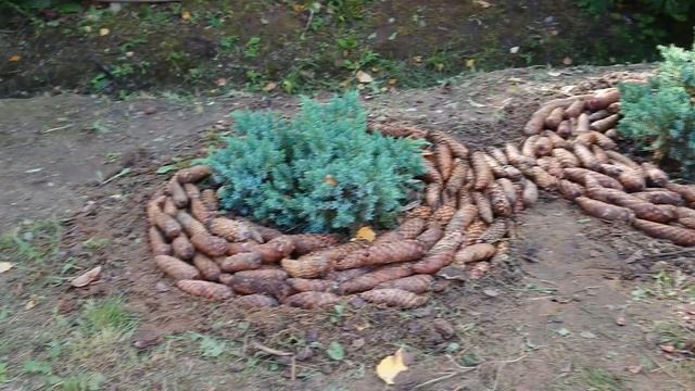 БЕСПЛАТНЫЙ ДАЧНЫЙ ДЕКОР. смотреть онлайн