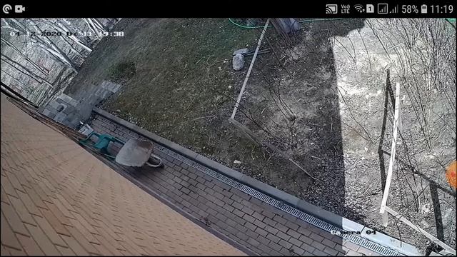 BestCam. Приложение Hik-Connect