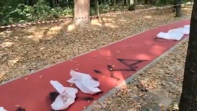 SOS ПОКРОВСКОЕ СТРЕШНЕВО! Зачем этот вред природе ООПТ и психике людей? смотреть онлайн