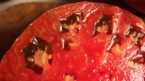 ЛУЧШИЙ ТОМАТ ДЛЯ ТЕХ, КТО ЛЮБИТ ТЁМНЫЕ ПОМИДОРЫ!!! ЧЁРНАЯ МОЙЯ!