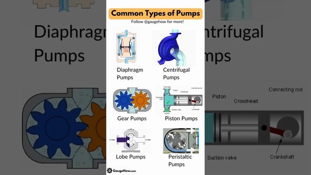 Common Types of Pumps | Pumps смотреть онлайн