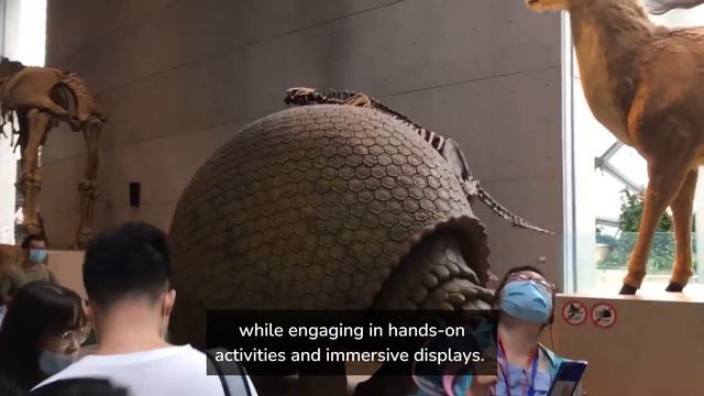Things to do in Shanghai with Kids - the ULTIMATE Shanghai family travel guide 2024 смотреть онлайн