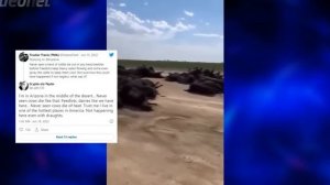 Артём Катков Нас держат на этой ферме Земля для генных экспериментов