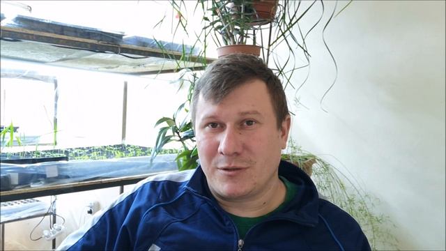 Лохотрон. Удобрение Agromax!!!