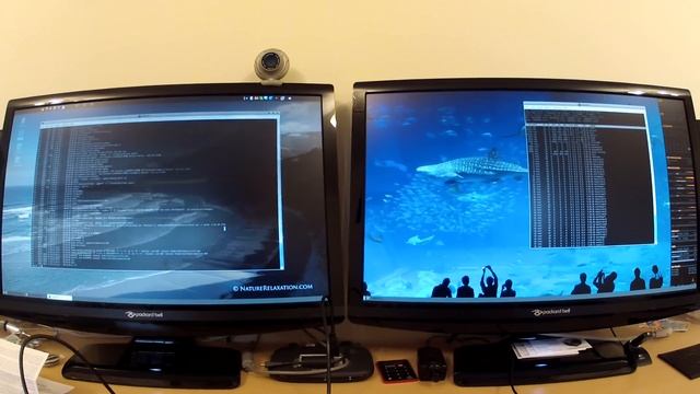 XWinWrap, YouTube-dl, Compiz, Dual Monitor (ATI), CentOS6.3 64bit смотреть онлайн