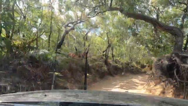 Pajero Taking On The Tracks At Five Rocks (Byfield)