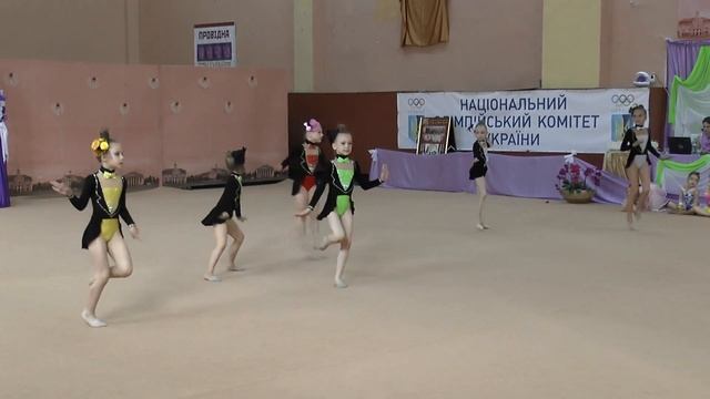 Показательные 10 "Перлина Полісся 2016" Художественная гимнастика смотреть онлайн