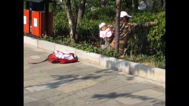 Женщина строит карьеру сборщицы чая. Дети не мешают.