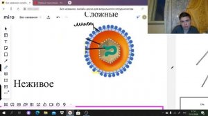 Вебинар №7. Вирусы и теория симбиогенеза | ЕГЭ БИОЛОГИЯ 2021