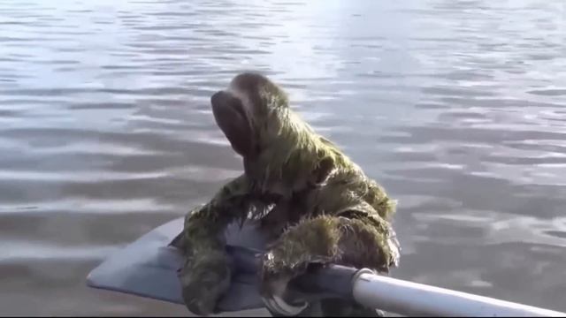 И3MУЧEHHЫЙ ЗВЕРЬ из последних сил цеплялся за весло! Счет шёл на секунды смотреть онлайн