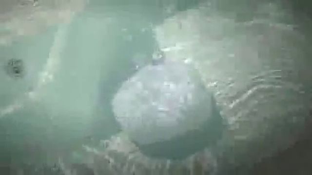 4 Using the Vanishing Act YouTube смотреть онлайн