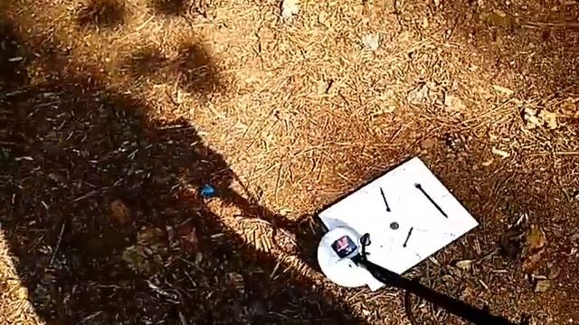 Minelab Gold Monster 1000