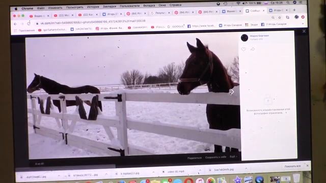 Украинский мотив Видеоурок 'Украинский мотив Как справиться со сложным заказом' смотреть онлайн