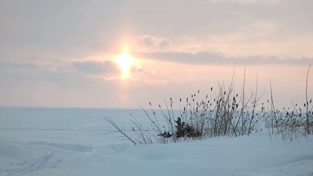 Снег за шиворот смотреть онлайн