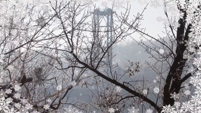 Вячеслав Хурсенко. Белая песня (Осталось несколько шагов) смотреть онлайн