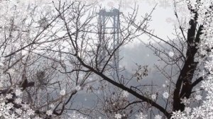 Вячеслав Хурсенко. Белая песня (Осталось несколько шагов)