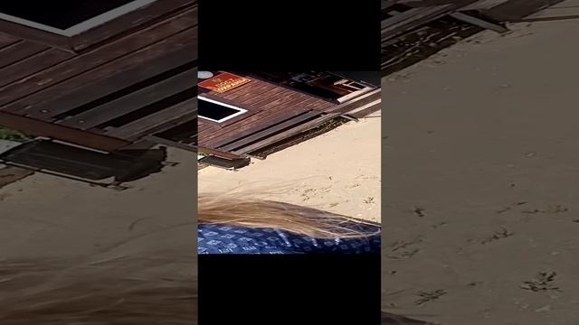 VID_20230603_103618 смотреть онлайн