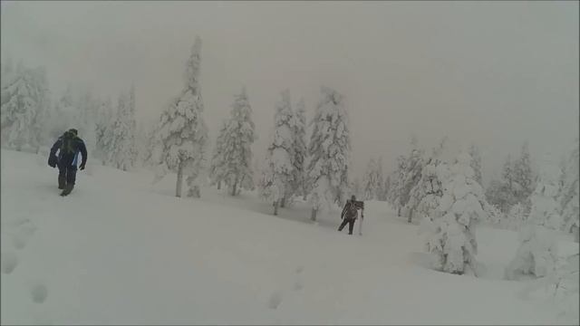 Откликной гребень 03 01 2017 смотреть онлайн