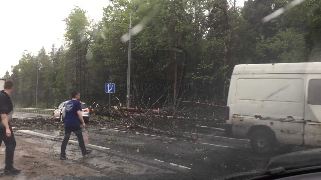 На Подушкинском шоссе ураган повалил дерево на движущийся автомобиль смотреть онлайн