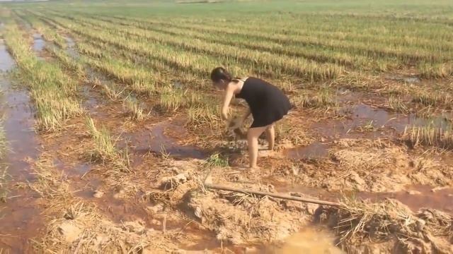 Der Katjuscha (Катюша) 💪 🎸🤘 Метал-кавер от Изумрудного Феникса 2013 Как Пушной