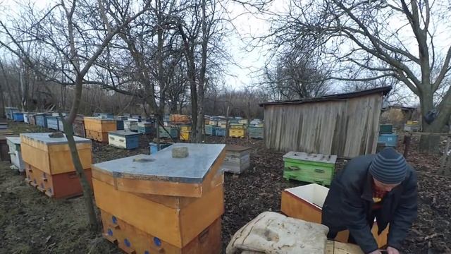 Пасека Виталия Филимоненко Солёное