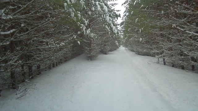 Охота на зайца/Зимняя охота смотреть онлайн