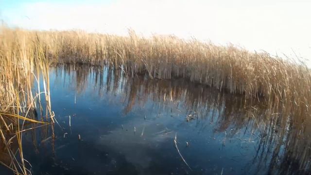 ОХОТА НА УТКУ I 2020 смотреть онлайн