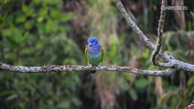 Женщины этих знаков идут за любимыми до конца... смотреть онлайн