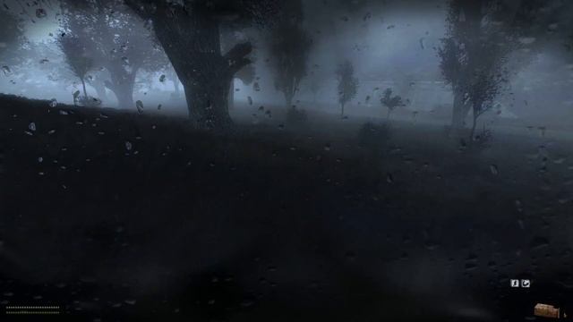 лес дождик смотреть онлайн