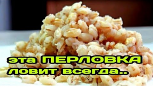 ПЕРЛОВКА НА КАРАСЯ - ЛУЧШАЯ НАСАДКА НА КАРАСЯ, КАРПА ЛОВИ ВСЮ ОСЕНЬ