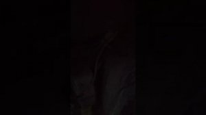 Ксенон в птф киа спортейдж, спортаж 3