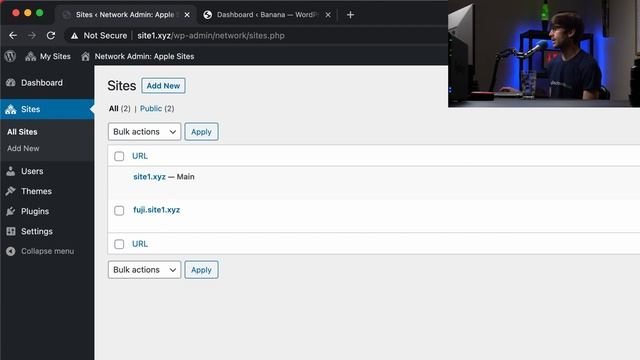 How to Setup WordPress Multisite on Apache смотреть онлайн