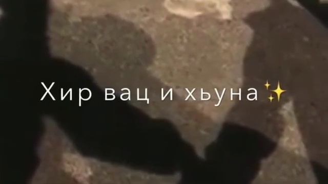 Со виц вина гена ели хьо ( очень красивая песня ????)