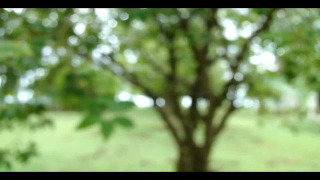 sony hx1 video de teste editado no sony vegas com qualidade hd смотреть онлайн