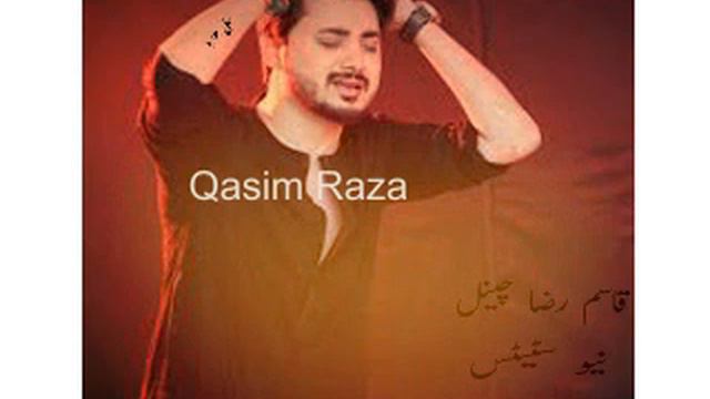 Ali Hamza Status |Qasim Raza|Hamdani Syed|Shia Status смотреть онлайн