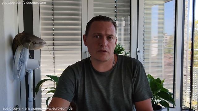 Лучшее время для ловли сома | #Дальке о рыбалке 6 | Когда клюёт сом смотреть онлайн