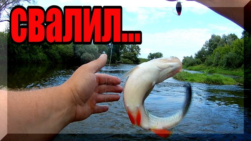 Что за БЕДА_ и Как с ней бороться_ ГОЛАВЛЬ на спиннинг. Рыбалка. смотреть онлайн