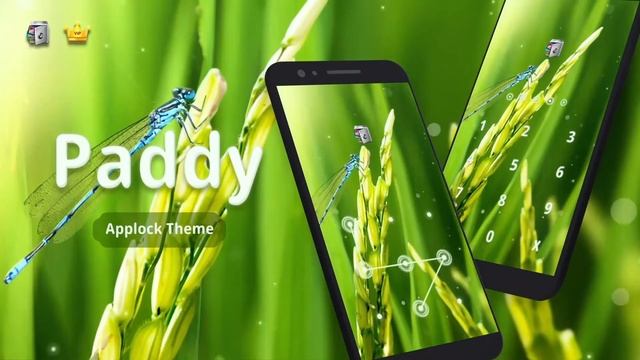 AppLock Live & Paid Theme Paddy смотреть онлайн