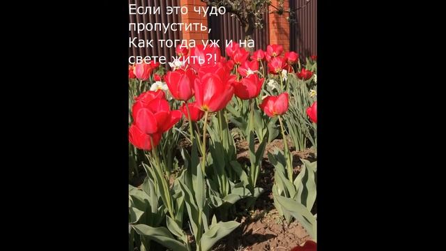 Дорожите счастьем (Эдуард Асадов) смотреть онлайн