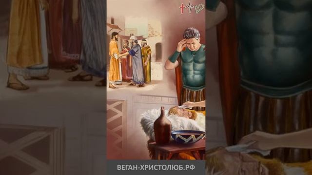 #ИИСУС #ХРИСТОС исцеляет слугу сотника. КТО же ОН такой? #Евангелие @ХРИСТОЛЮБ ✝️ @ВЕГАН ? #shorts смотреть онлайн