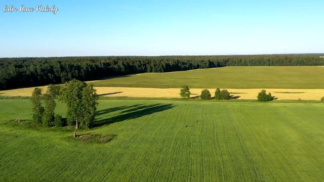 Нежная музыка, успокаивает нервную систему и радует душу 🌿 лечебная музыка для сердца и сосудов #12 смотреть онлайн
