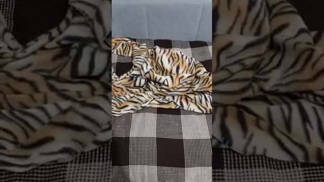 Вот такие видео регулярно присылает мне мама 💕 #собака #маленькиесобачки #чихуахуа #мама смотреть онлайн