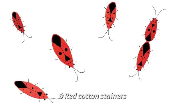 Incredible Insects - A Counting Book - Stories for Kids to Go to Sleep (Animated Bedtime Story) смотреть онлайн