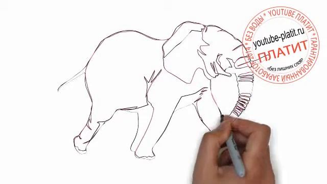 Как нарисовать поэтапно опаздывающего слона смотреть онлайн