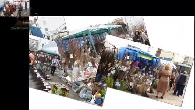 Cад и огород Выставка-ярмарка в Белгороде. смотреть онлайн