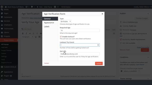 Age Verification Form Shortcode in Popup Maker смотреть онлайн