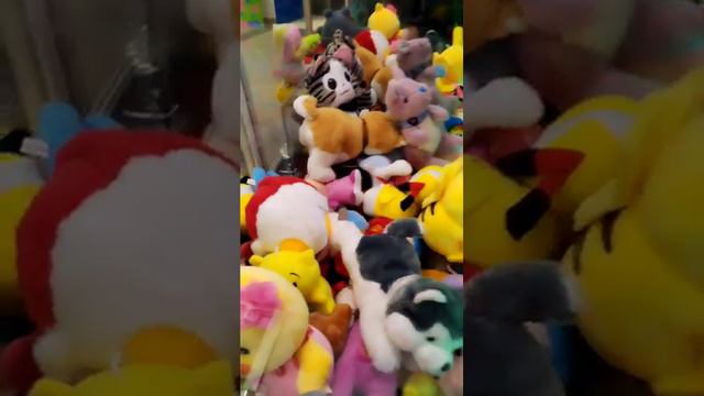 Ловим хаску в автомате с игрушками🐶 смотреть онлайн