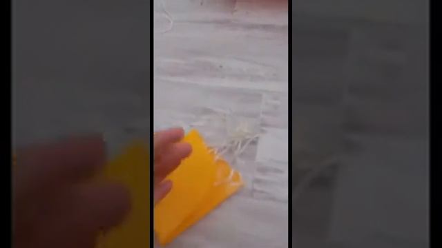 Самодельная игрушка для кошки или кота смотреть онлайн