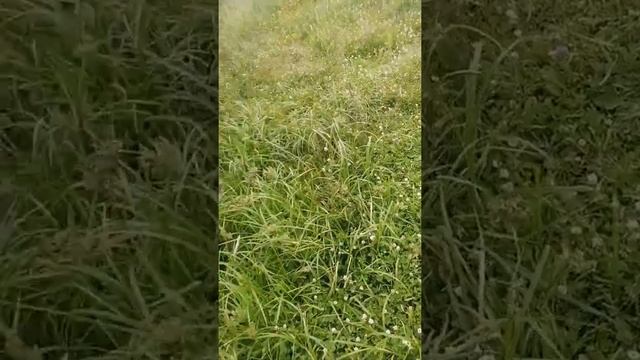 Рыбалка на Олхе смотреть онлайн