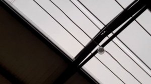 Проект коровника на 100 голов цена под ключ